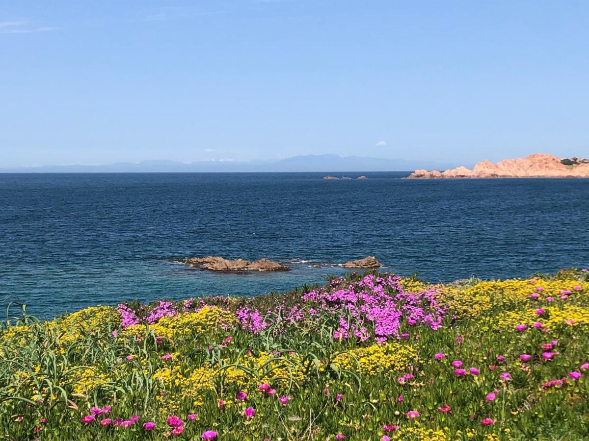 Borgo Spiaggia Isola Rossa Buitenkant foto